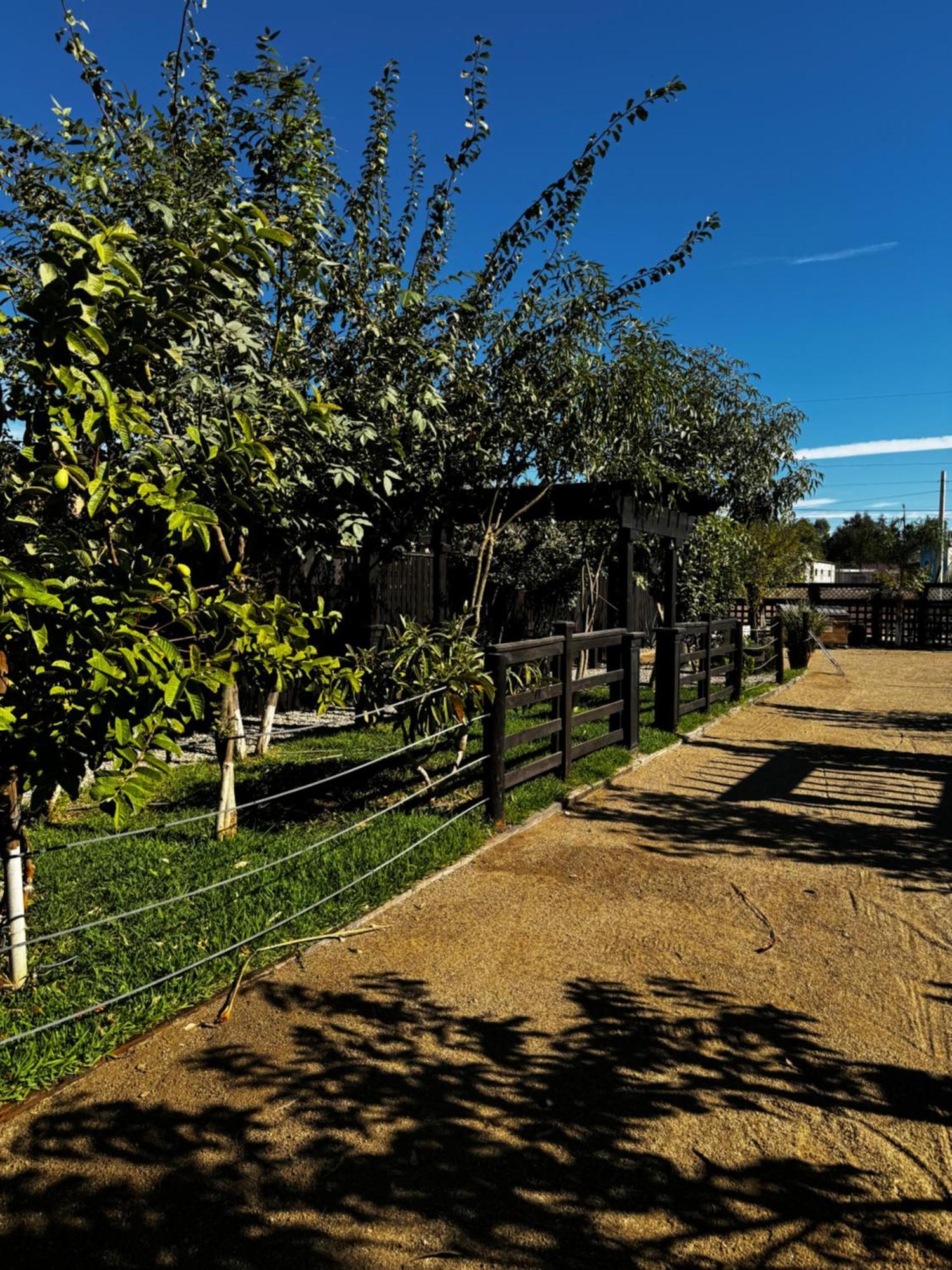 Estancita Elena Hotel Valle de Guadalupe Luaran gambar